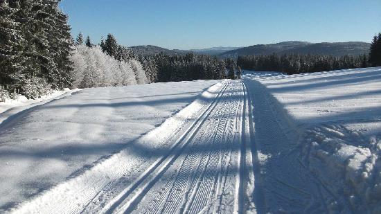  Schneebericht (nur in Winter)